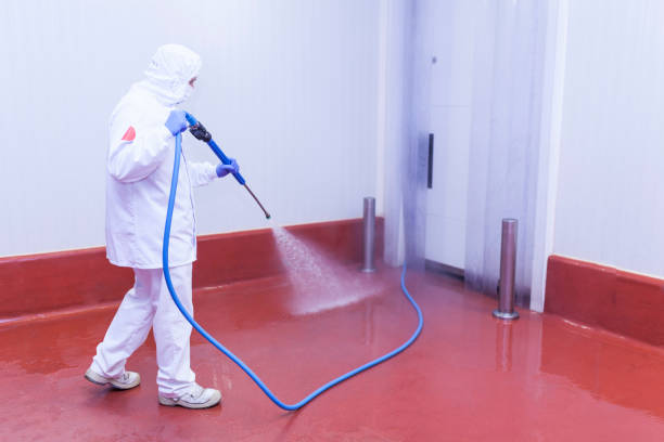 Best Machinery and Equipment Cleaning  in Nogales, AZ