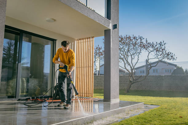 Best Factory Floor Cleaning  in Nogales, AZ